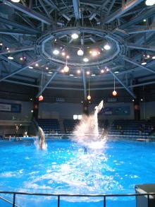 【水族館２】by GRDIGITAL