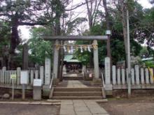 チダイズム~毎日誰かを笑わせるブログ~-ペグレッチョ03