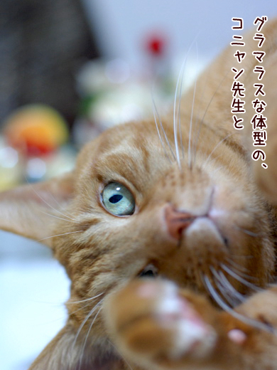 バンビ&ヒメ
