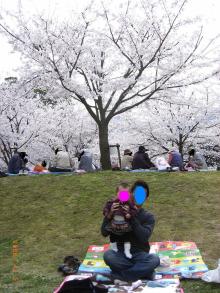 花見