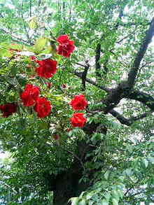 070505_132344.jpg