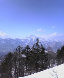 NEC_0262.jpg