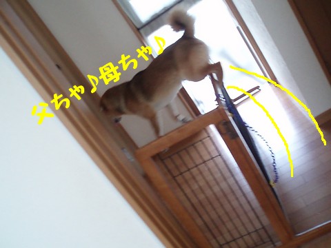ジャンプ