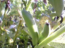 Image103.jpg
