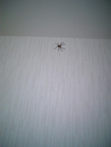 080608_204711.jpg