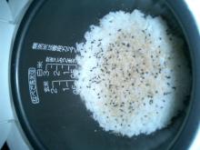 簡単チャーハン（胡麻）