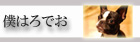 僕はろでお