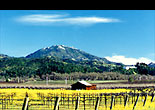 napa