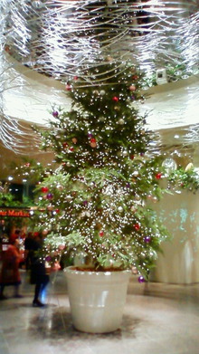 超☆気まぐれで御免!!-200812041653000.jpg