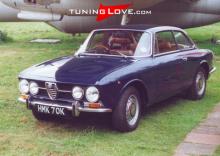 giulia_org