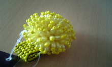 Image008.jpg