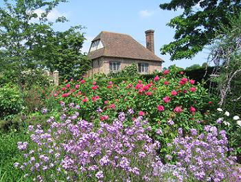 English garden