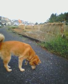 秋だなぁ