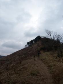 MTB