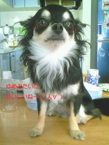 200807162024000.jpg