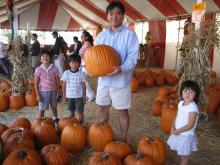 pampkin farm