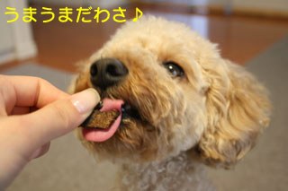うまうまだわさ