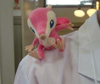 肩ノリトビネ