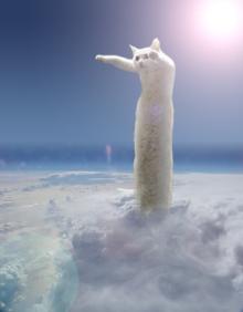 のびる猫伝説⑧