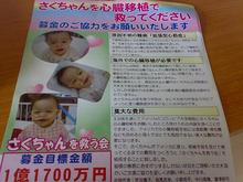 aloha-firstのブログ-02162009.jpg