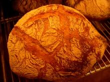 Boule Beurre Boulangerie の 毎 日 パ ン -lodevechan
