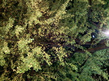 Image030.jpg