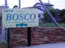 bos2