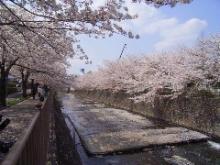 恩田川