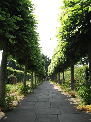 English garden