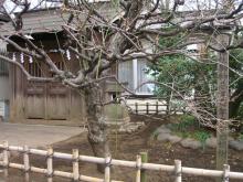 土方歳三資料館日記-天神社1