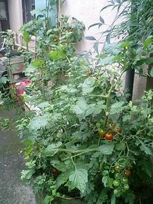 070705_0642~0001.jpg