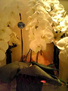 080417_202421.jpg