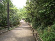 園内風景