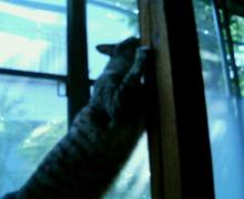 200608031413001.jpg