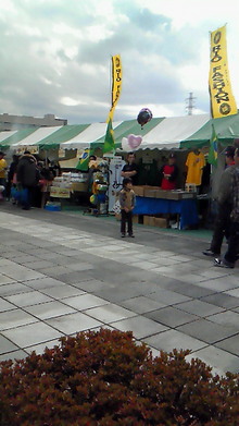 200811291211000.jpg