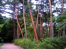 080914_サントリー.JPG