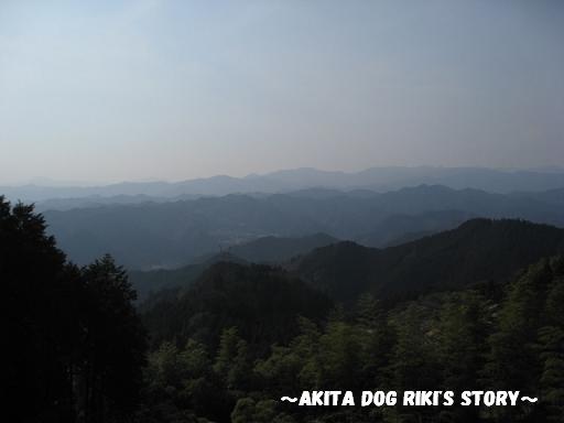 秋田犬　リキの物語