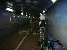 RIMG0839.JPG
