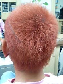 ☆ヘイズの人々の囁き☆~或るヘアーサロンでの些細な出来事~ <大阪市・平野区・長吉・六反・理容室・美容室>