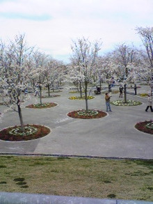 Image1102.jpg