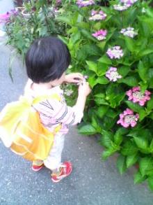 touching flower