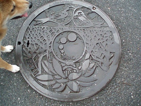 マンホール