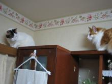 ８．９．１０…シビル&dodici&Treize