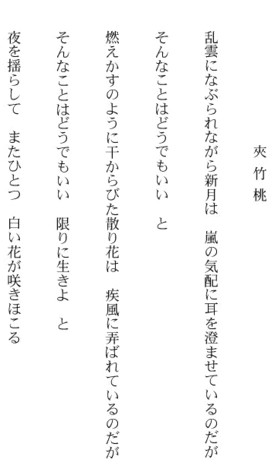 kyou3