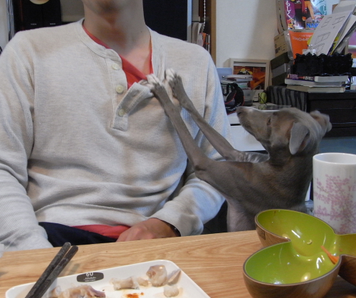 タマネギのブログ