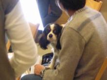 DogLifeDesignな仲間たち