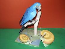 インコとカタツムリ