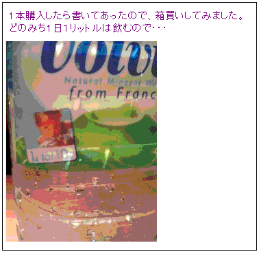 6 箱買い