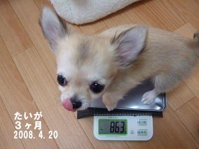 うさこぞう-DSCF6819