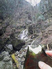 20070421104913.jpg